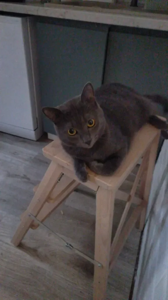 Merdevine Ikea macka